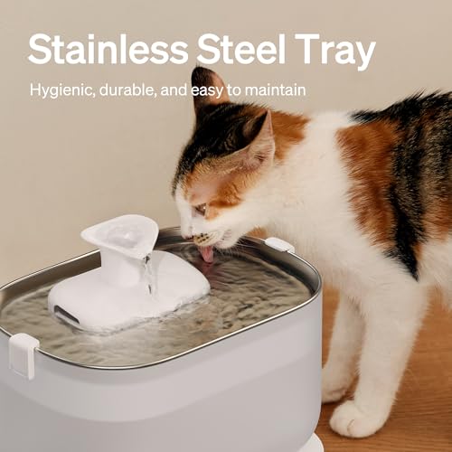 Cat Water Fountain Stainless Steel Tray (2.5L Fountain)