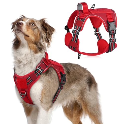 Tactical Dog Harness for Medium (Red / Medium)