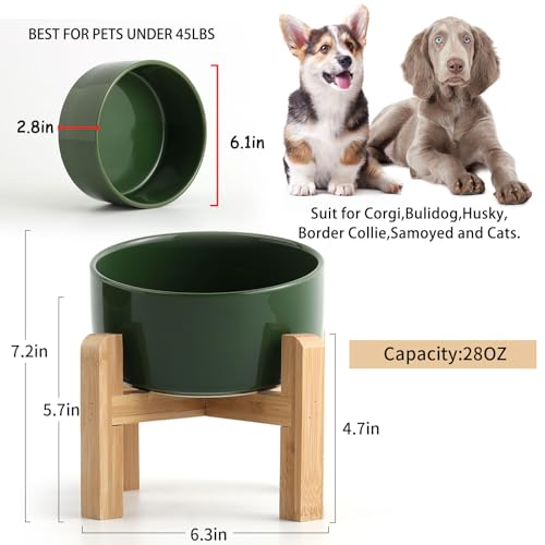 Elevated Raised 15°Slanted Ceramic Dog Bowl for Small and Medium Breeds (Rust Green / 3.6 CUPS - Medium Dog Bowls)