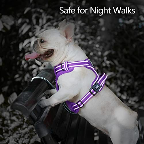 No Pull Dog Harness (XS / Purple(Matching Trim))