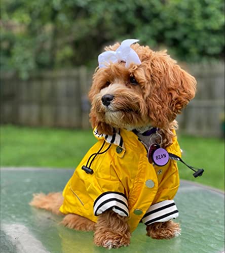 Dog Zip Up Raincoat with Reflective Buttons (X-Large / Yellow)