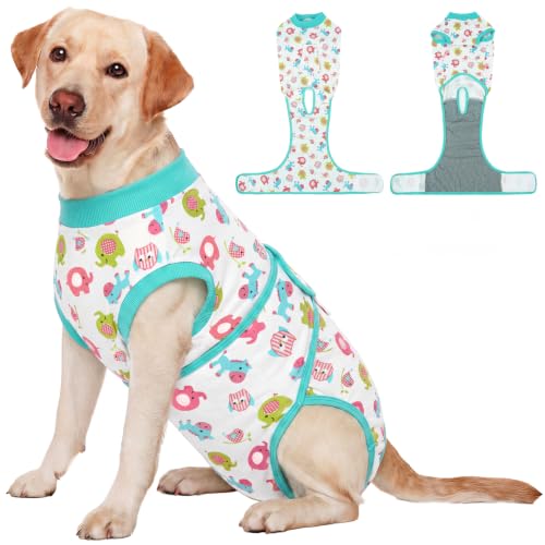 Dog Recovery Suit (Mint Green / XX-Large)