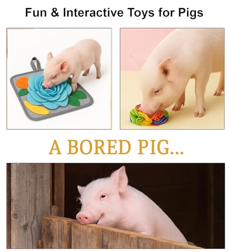 Pig Snuffle Mat and Snuffle Ball for Pigs