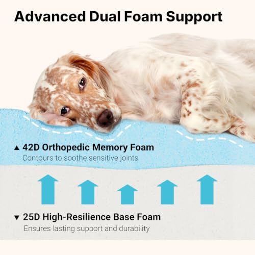 Orthopedic Dog Bed for Senior Dog (Gray / 48"L x 30"W x 7"Th)