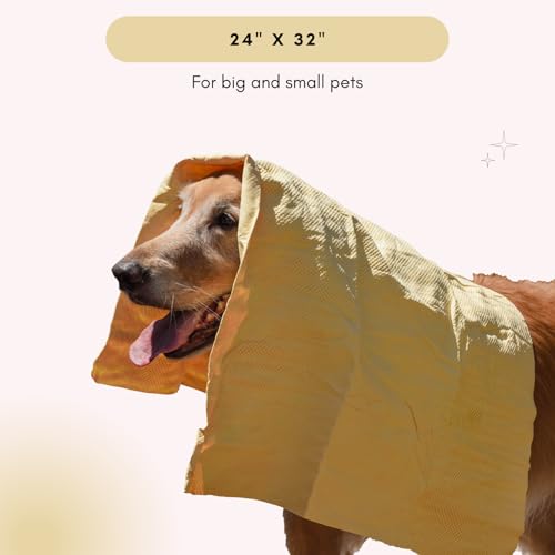 HydroSwipe for Dogs