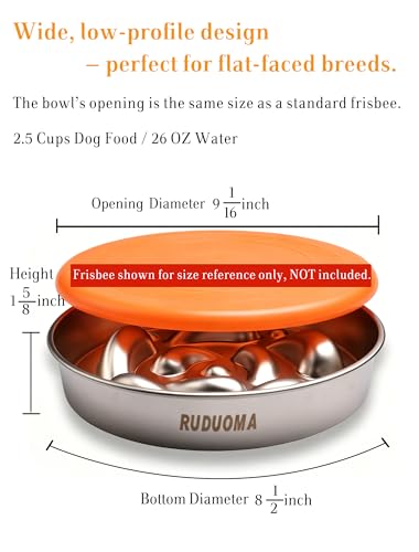 Stainless Steel Slow Feeder Dog Bowls