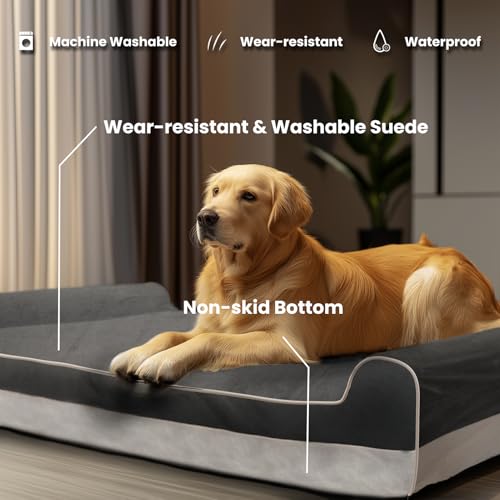 Orthopedic Dog Beds for Large Dogs (50.0"L x 36.0"W x 10.0"Th / Grey)