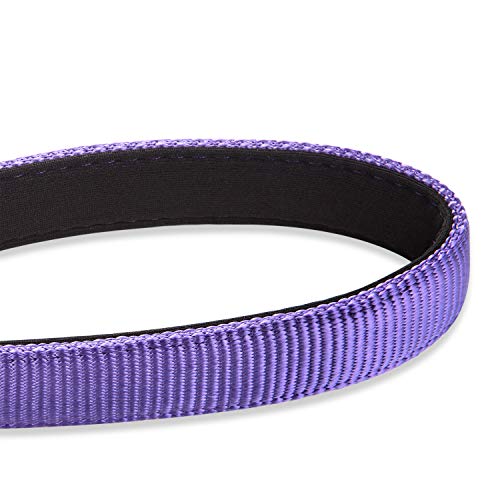 Short Dog Leash 24" (Ultra Violet / 24 Inches)