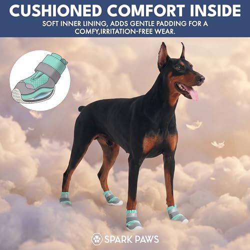 365 Dog Shoes (Turquoise / Size 2: 1.8"x2.17"(W*L) (Pack of 4))
