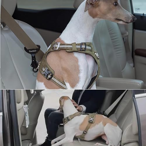 Truelove Vehicle Seat Belt Safety Buckle Lock (Gary / 2.7*4.7inch)