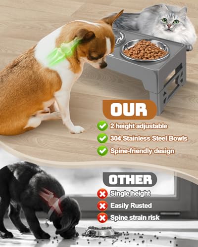 Elevated Dog Bowls for Small Dogs and Cats (for Small Dogs and Cats 2 Basic Bowls / Grey)