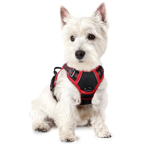 Dog Harness No Pull for Small Dogs with 2 Leash Clips (X-Small / Black & Red)