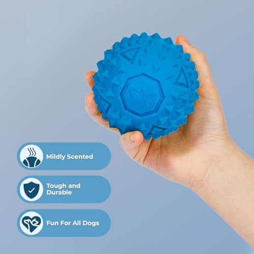 Squeaky Dog Toys with Soft Durable Fabric for Small (Blue / Large)