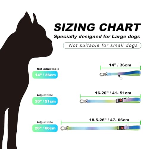 Dog Training Leash with Sturdy Metal Buckle (Size 3 - Length Adjustable 18.5"-26" / Black)