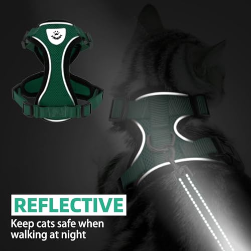 Cat Harness and Leash Set Escape Proof Reflective Cat Walking Harness Adjustable Soft Breathable Mesh Vest for Small Pets (M (NECK 11"-13.7", CHEST 16"-20") / Dark Green)