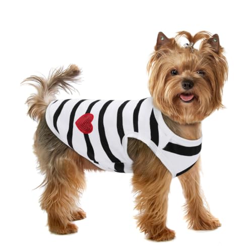 Dog Shirts for Extra (White-Vest / X-Small)