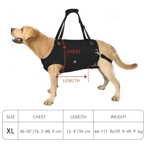 Dog Lift Harness (Extra Large / Black)