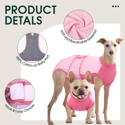 Dog Recovery Suit (Angel Pink / XX-Large)