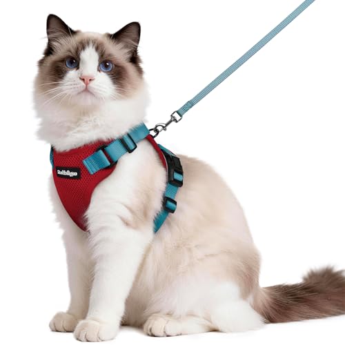 Cat Harness and Leash Set (M / Red & Teal)