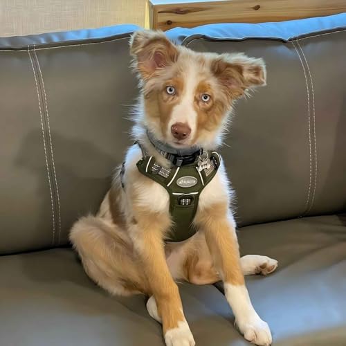 Tactical Dog Harness Medium Sized Dog No Pull Adjustable Dog Vest (Green / M(Neck:16-22",Chest:22-33"),35-50 lbs)