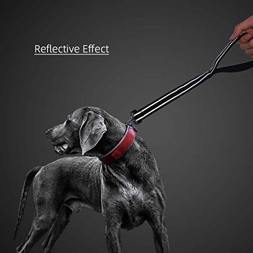 Nylon Short Traffic Leash with Padded Handle (Wide-Black)