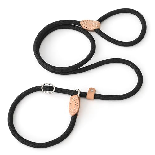 Heavy Duty Slip Lead No Pull Leash 6 (Black / 4 Feet)