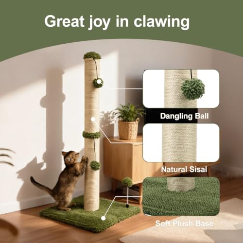 34“ Tall Cat Scratching Post Premium Basics Kitten Scratcher Sisal Scratch Posts Trees with Hanging Ball for Indoor Cats (34 inches for Adult Cats / Cactus Green)