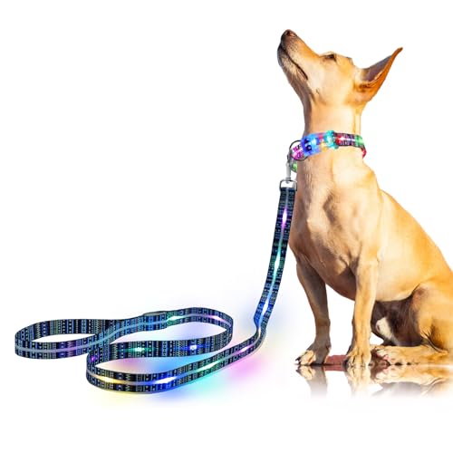 Light up Dog Leash USB Rechargeable for Small Medium Large Dogs (Bohemian Blue / L59in/W1in)
