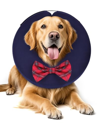 Inflatable Dog Cone (Bow Tie / XL(21"-24"))