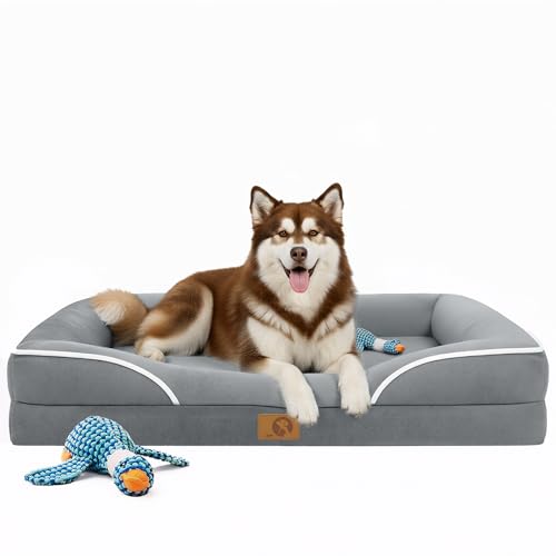 Dog Bed Extra Large Size Dog (48.0"Lx35.0"Wx7.0"H / 01-Light Grey)