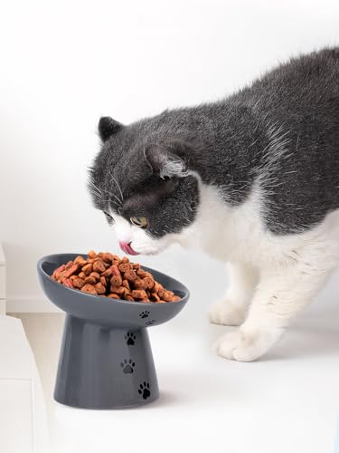 Slow Feeder Cat Bowl (Grey)