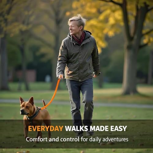 SparkDog Daily Dog Training Leash (Daily-Orange / L 4' * W 3/4")