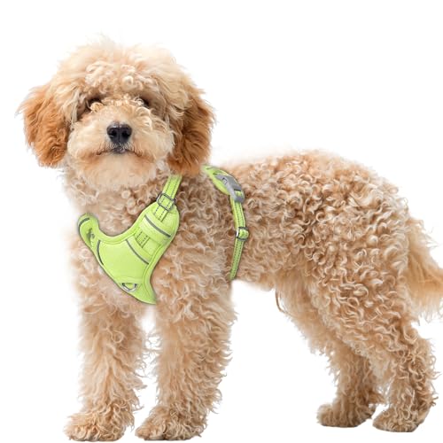 Dog Harness for Small Sized Dog No Pull Dog Vest ID Tag Pocket (Sunlight / X-Small)