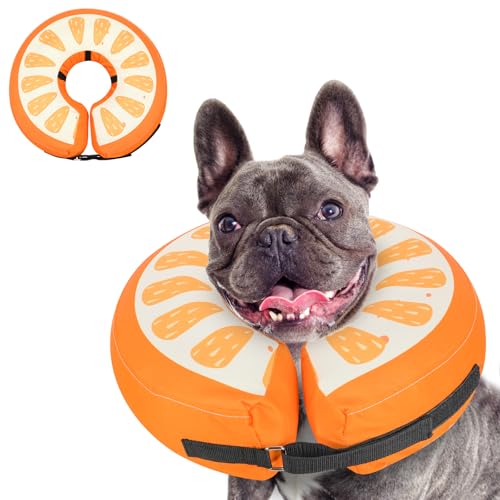 Inflatable Dog Cone (Orange / M(12"-15"))