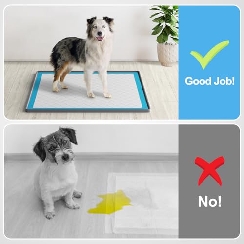 Pee Pad Holder for Dogs (24" x 24" / Dark Grey)