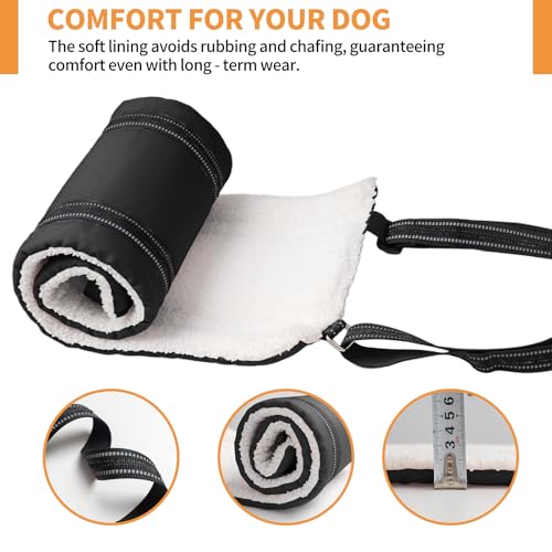 Dog Lift Harness for Large Dogs (Large (Pack of 1) / Black)