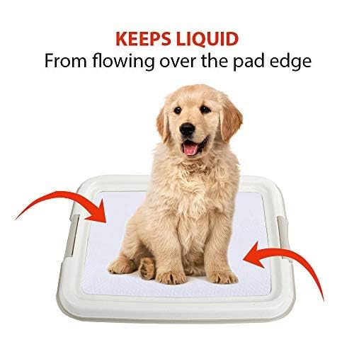 Dog Training Pee Pad Holder Tray