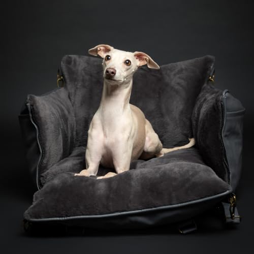 Small Dog Car Seat for Small Medium Pets with Harness Clip (Charcoal / Medium)