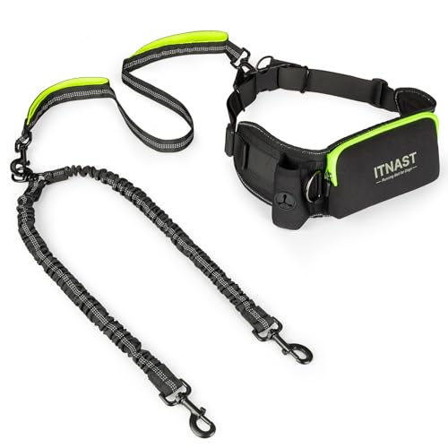 Hands Free Dog Leash for 2 Dogs (for Two Dogs / Black/Green)