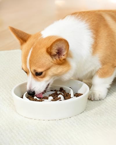 Ceramic Slow Feeder Dog Bowls (M-1.5 Cups / 01-White)
