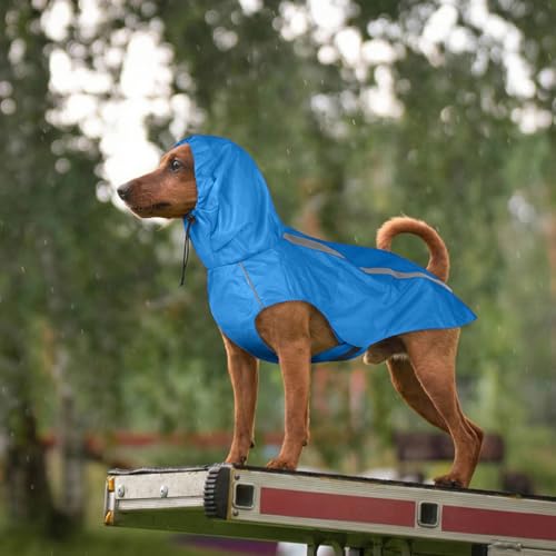 Blue Dog Raincoat with Reflective Strip Hoodie (L / Blue)