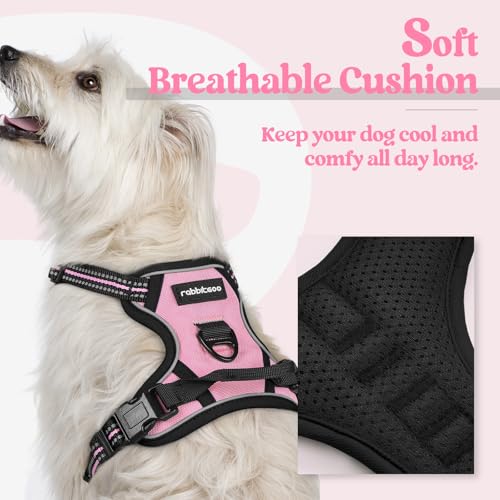 Dog Harness No Pull with 2 Leash Clips (X-Small / Pink)