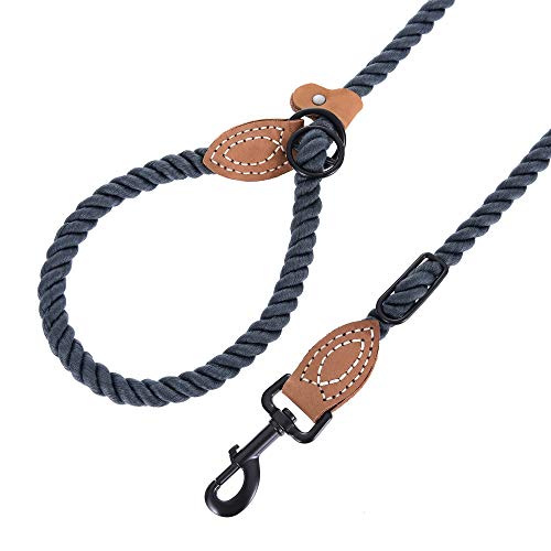 Hands Free Dog Leash (Blue Green / 8FT Hands Free)