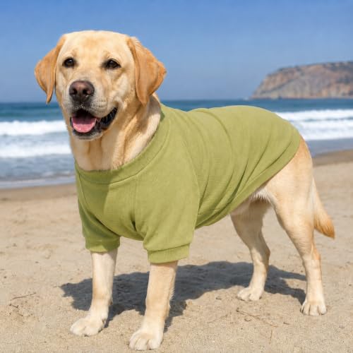Ribbed Dog T Shirt Cotton Knitted Dog Sweaters for All Season Pet T (XS (for Mini Dog) / Chartreuse)