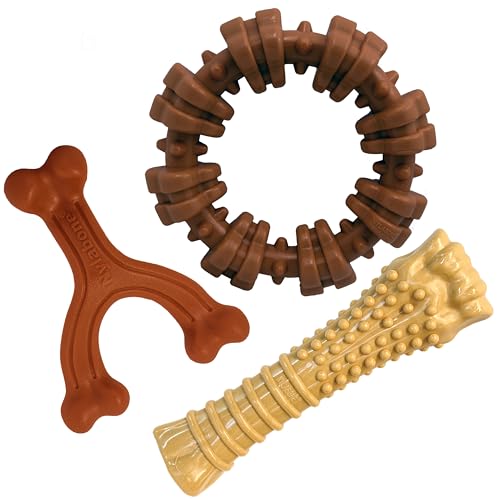 Power Chew Customer Favorites Dog Chew Toys (Large / Bundle)
