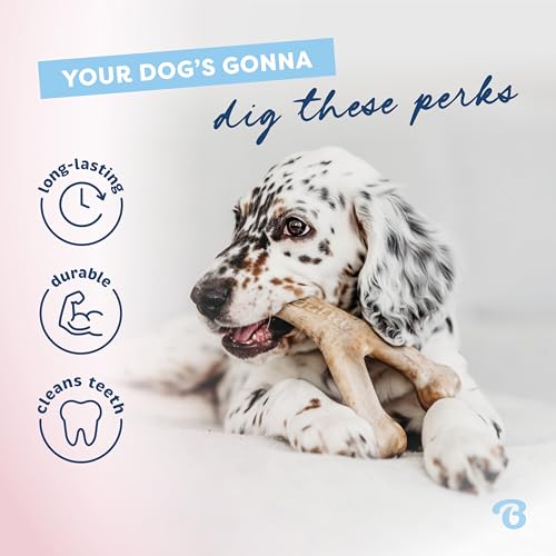 Puppy 4 Pack Dog Chew Toys for Gentle Chewers (Puppy (4-Pack))
