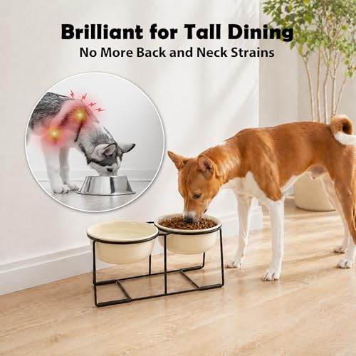 Ceramic Elevated Dog Bowl Set (Beige / XL × 2)