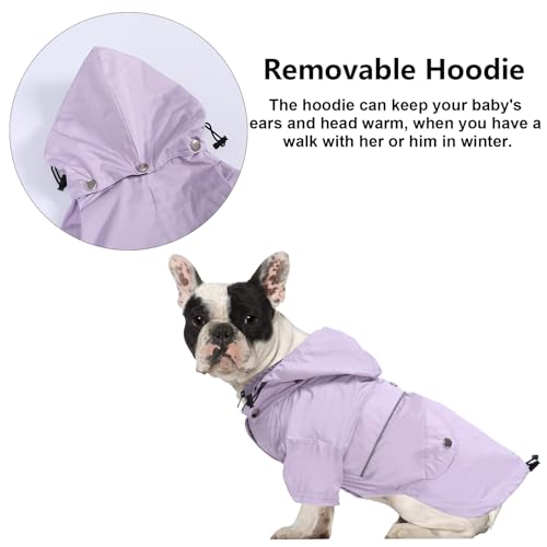 Dog Zip Up Raincoat with Reflective Buttons (Small / Purple)