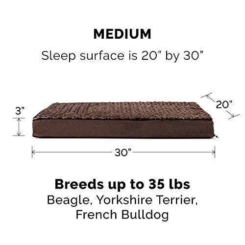 Orthopedic Dog Bed for Medium (Medium / Minky Chocolate)