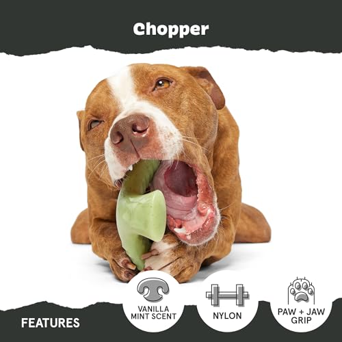 Chopper Super Chewer (Medium/Large / Chopper)